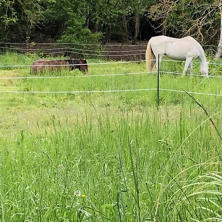 Luxuszelt L'arche Enchantee