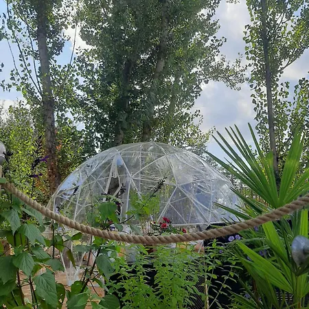 L'arche Enchantée *