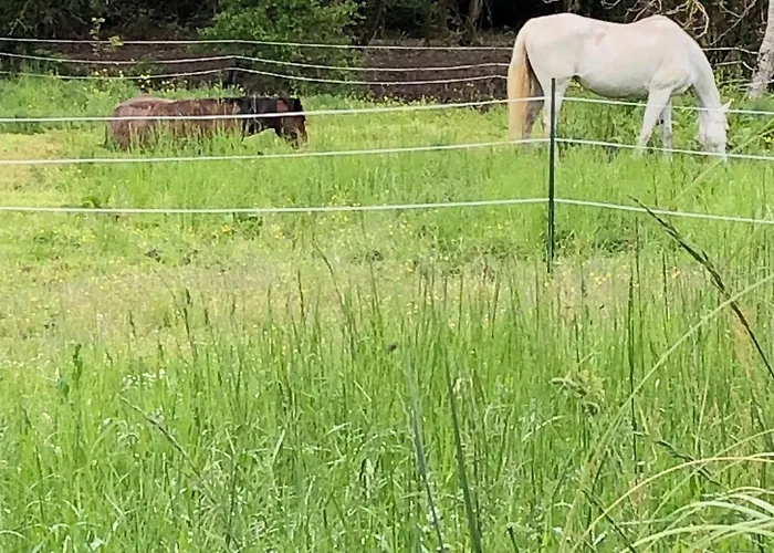 Glamping L'arche Enchantée