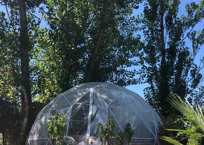 L'arche Enchantée Saint-Nicolas-de-la-Grave